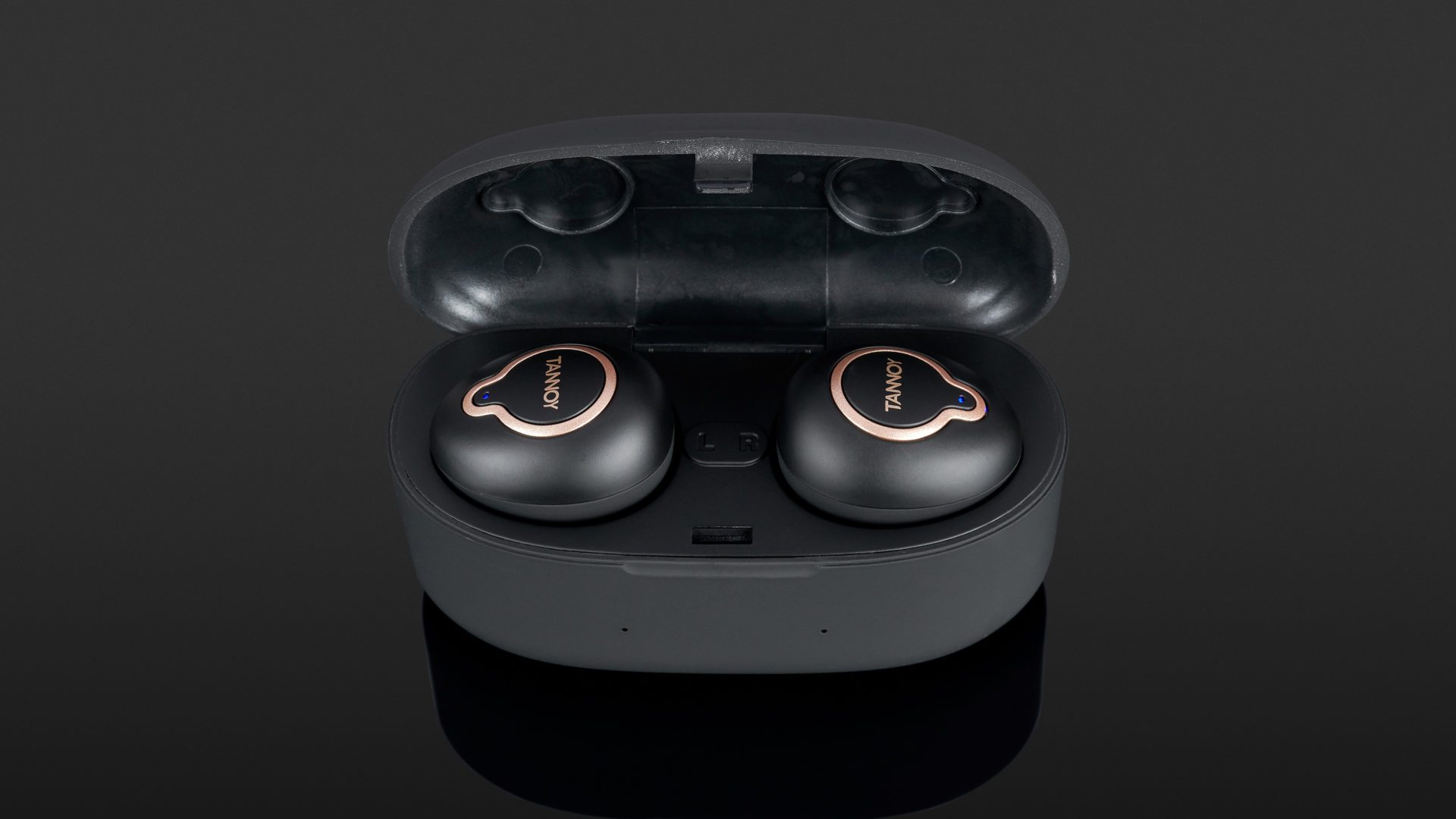 tannoy earbuds