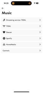 Bang & Olufsen Beosound A1 3rd Gen App