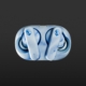 Skullcandy EcoBuds
