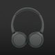 Sony WH-CH520