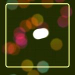 Sony ULT FIELD 5 App